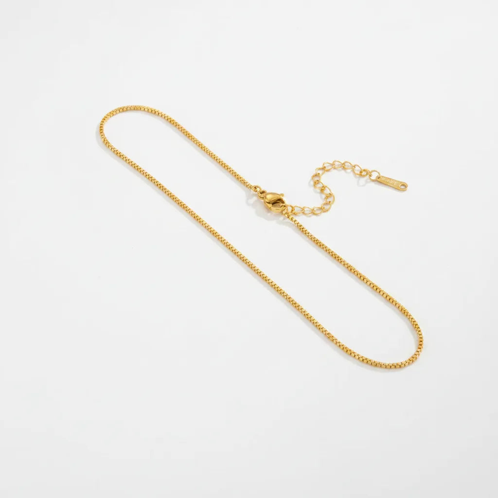 A delicate gold chain necklace with a lobster clasp and an adjustable extender chain with a small tag, displayed on a clean white background.