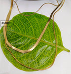 Gold necklace with three layers on a green leaf
